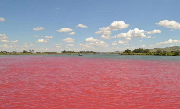 Red River of India जानें कौन सी नदी है और क्यों हो जाती है यह लाल !