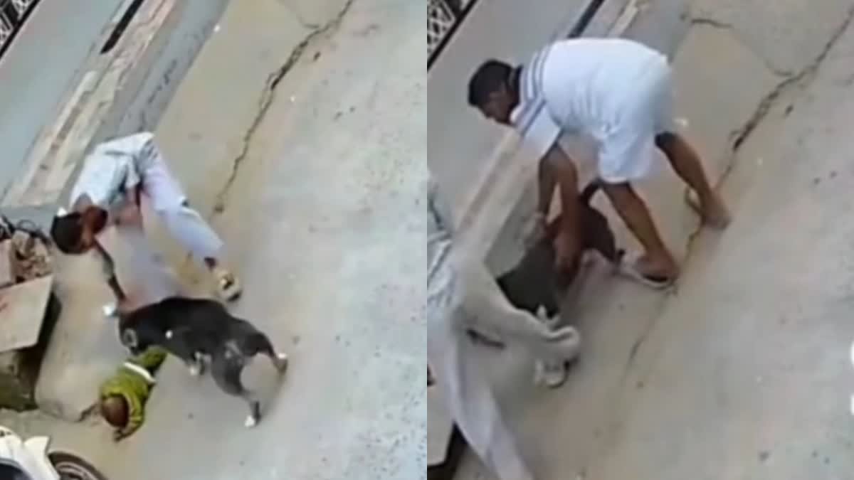 PIT BULL ने 6 महीने की बच्ची पर हमला बोला, हालत गंभीर