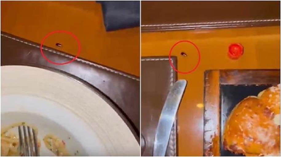 JW MARRIATT में डॉक्टर की थाली के पास घूमता दिखा कॉकरोच 