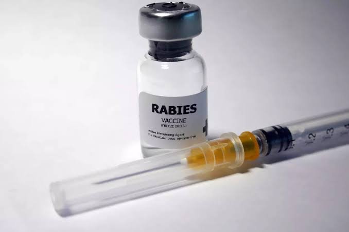 FAKE RABIES vials